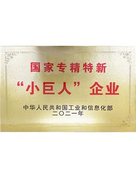 國(guó)家專精特新“小巨人”企業(yè)